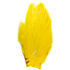 Cous de coq Dry Fly teinté jaune