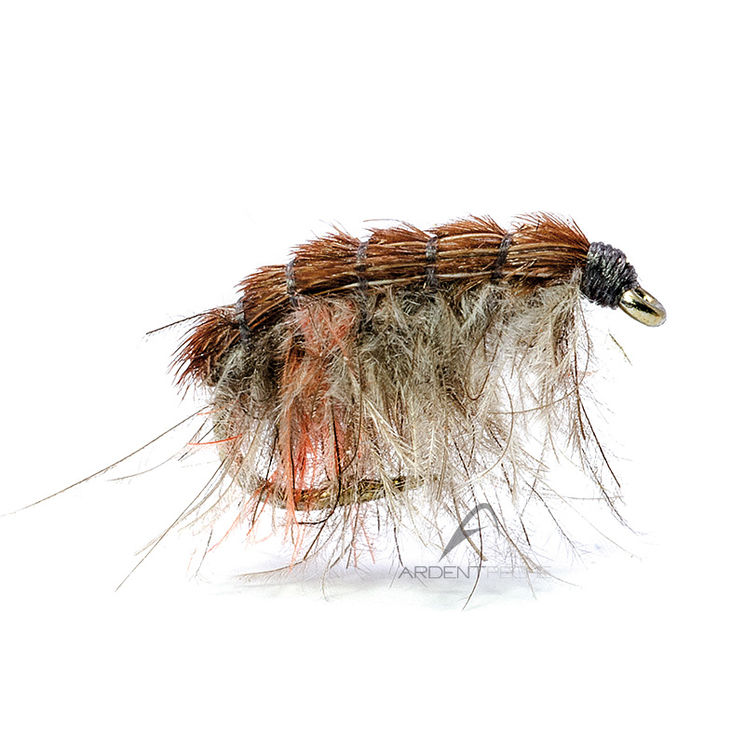 Mouche AB FLY Gammare GAM CDC GR PA