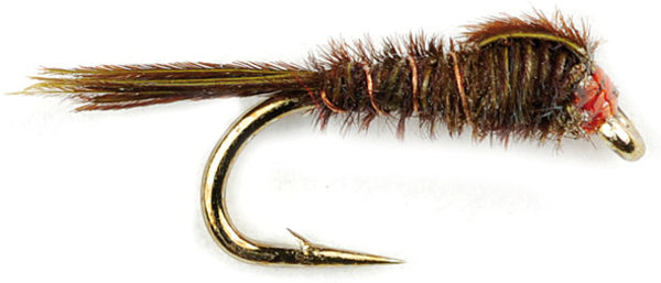 Mouche FMF Nymphe pheasant tail olive 444 | Ardent Fly Fishing