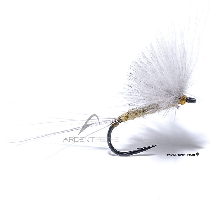 Mouche Igor et Nadica Stancev CDC pale watery