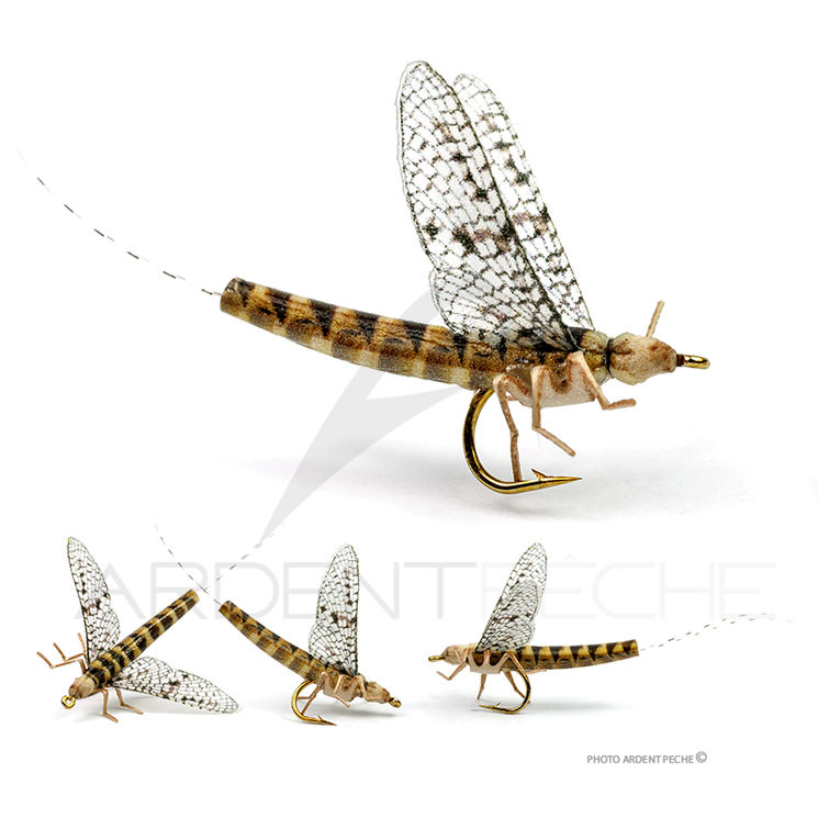 Mouche réaliste Mayfly 2 March brown