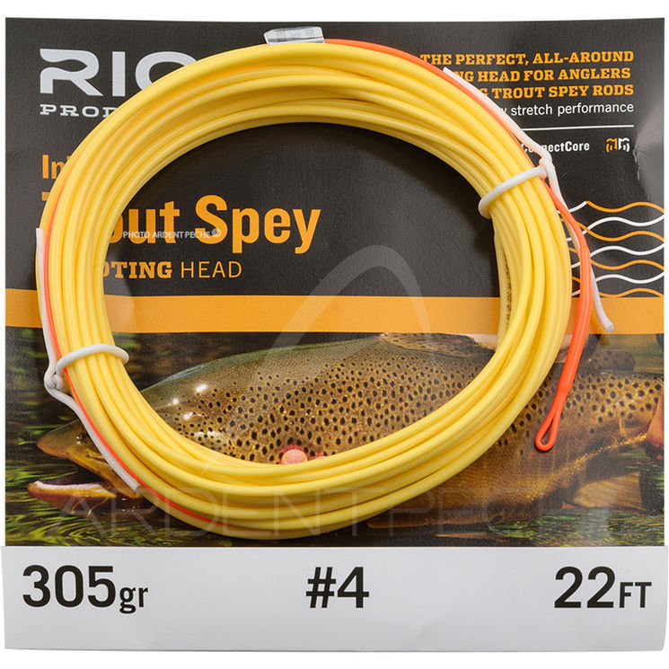 Soie RIO InTouch Trout Spey shooting head