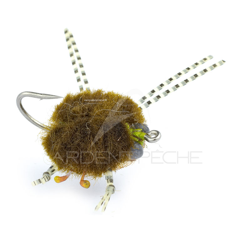 Mouche RIO Woolly Crab Olive