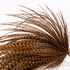 1/2 cous de coq WHITING High Dry Hackle Grizzly marron